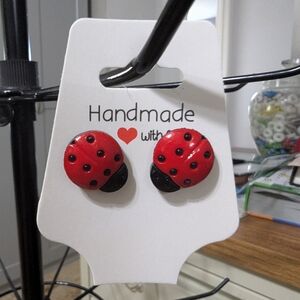 Red and Black Ladybug Jewelry Earrings